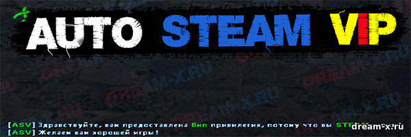 Auto VIP STEAM — Автоматическая выдача флага ВИП STEAM-игрокам на сервере CS 1.6